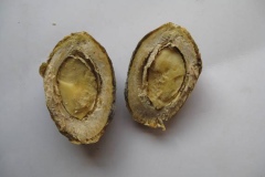 Half-cut-Desert-Date