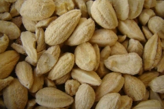 Seeds-of-Desert-Date
