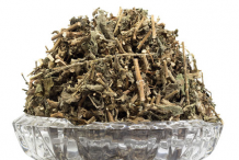 Dried-Devil's-Horsewhip