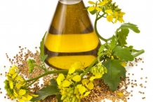 Dill-oil