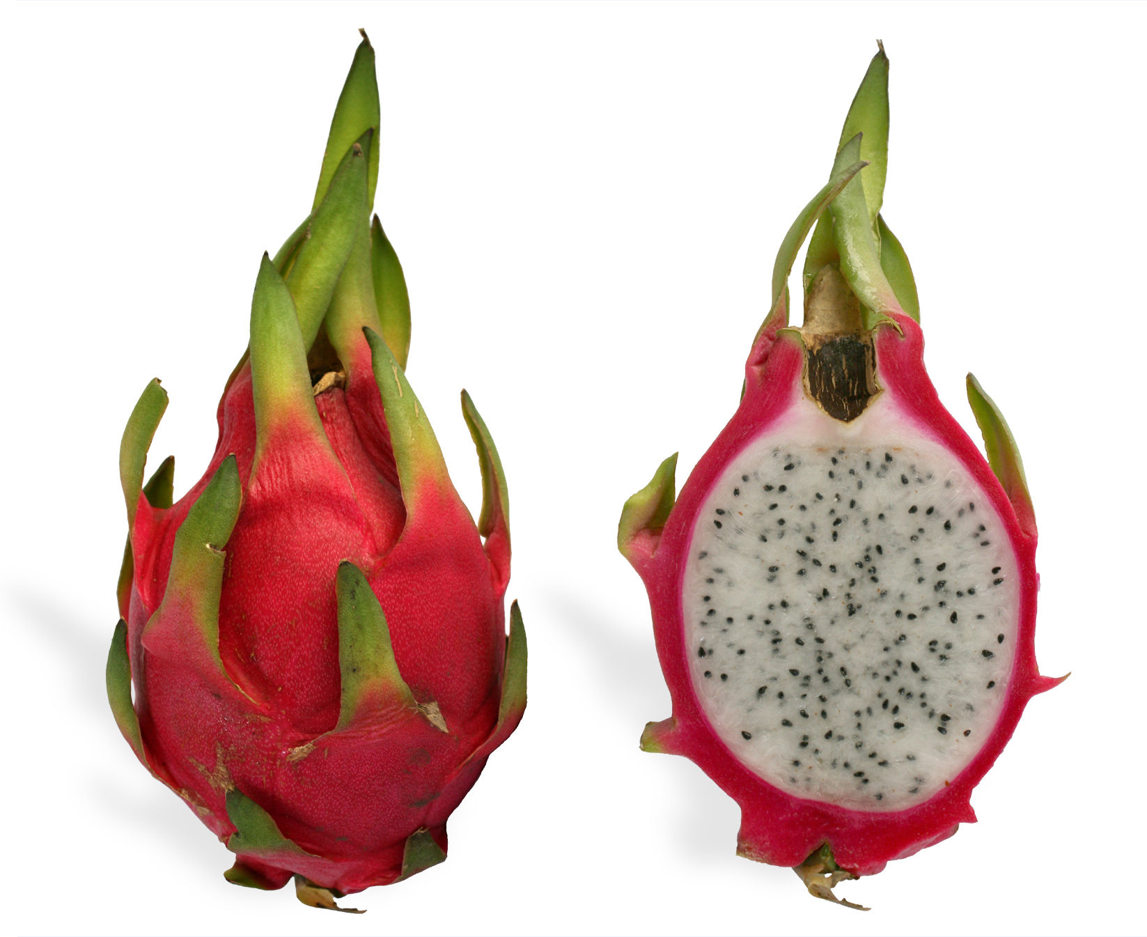 Half-cut-Dragon-fruit