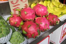 Dragon-fruit-for-sale
