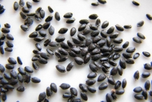 Dragon-fruit-seeds