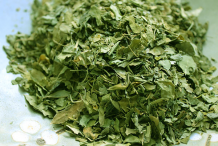 Drumstick-dried-leaf