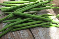 Drumstick-green-pods