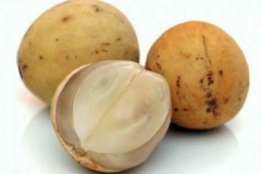 Duku-Fruit