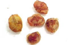 Seeds-of-Duku-Fruit