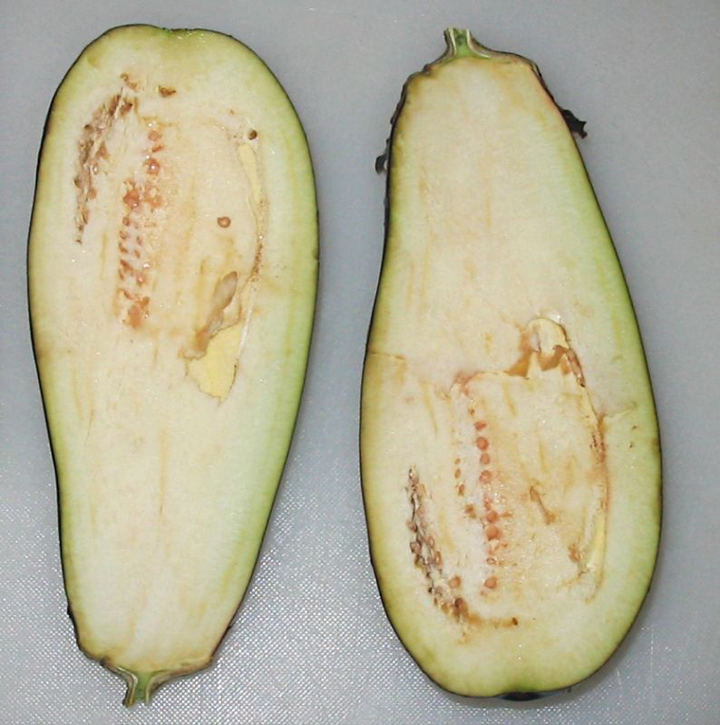 Half-cut-Eggplant