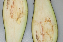 Half-cut-Eggplant
