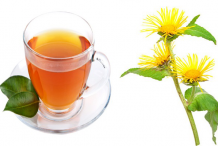 Elecampane-Tea