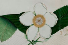 Sketch-of-Elephant-Apple