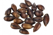 Ephedra-seeds