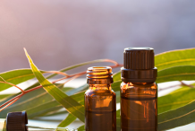 Eucalyptus_Oil