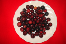 Falsa-Fruit