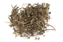 Dried-Herb-of-False-daisy