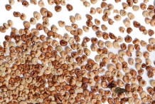 Feijoa-seeds