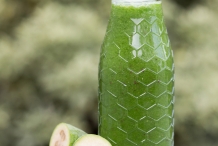 Feijoa-smoothie