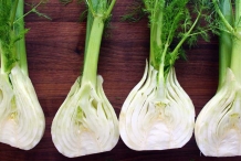 Fennel-bulb-half-cut
