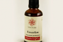 Feverfew-plant-Tincture