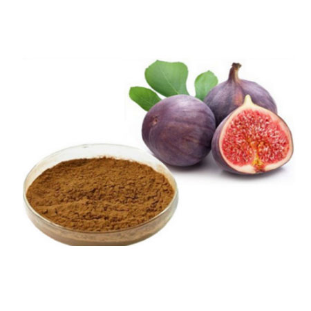 Figs-extract