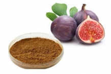 Figs-extract