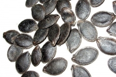 Figleaf-gourd-seeds