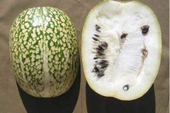Half-cut-Figleaf-gourd
