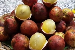 Fiji-Longan