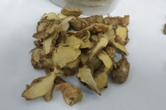 Fingerroot chopped-Ka chai