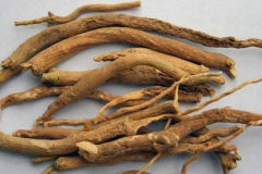 Fingerroot dried-Cu ngai