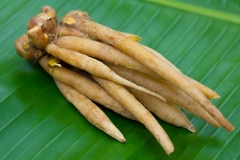 Fingerroot-rhizome-Kasay