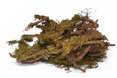 Dried-Firmosses