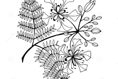 Sketch-of-Flame-tree