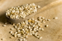 Fonio-seeds