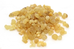 Harvested-dried-resins-of-Frankincense-tree
