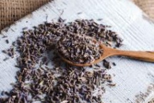 Seeds-of-French-lavender