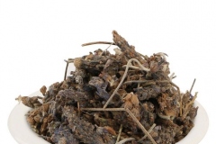 Dried-French-lavender