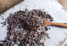 Seeds-of-French-lavender