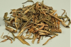 Dried-Fringed-pink