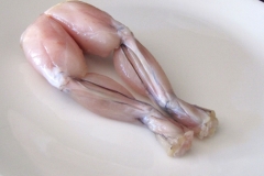 Pair-of-Frog-legs