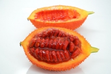 Gac-fruit-cut