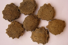 Gac-fruit-seeds