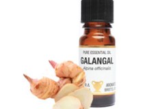 Galangal-essential-oil
