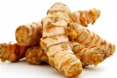 Rhizome-of-Galangal