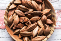 Galip-nut