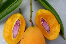 Gandaria-fruit-half-cut