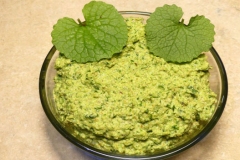 Garlic-Mustard-pesto