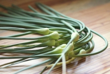Garlic-scapes-3