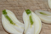 Half-cut-Garlic