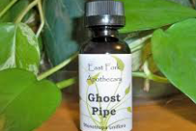 Ghost-Pipe-tincture